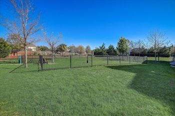 Dog park & dog wash station
